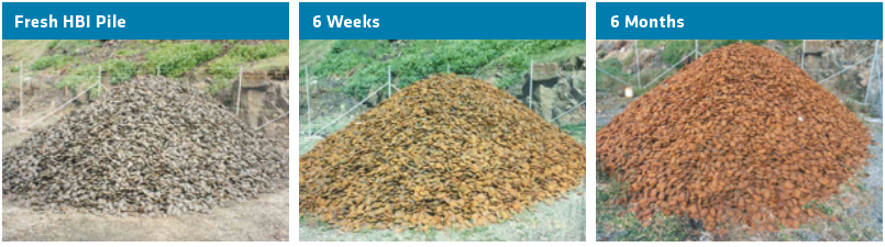 FIGURE 5 HBI corrosion test pile (courtesy of BHP Billiton)