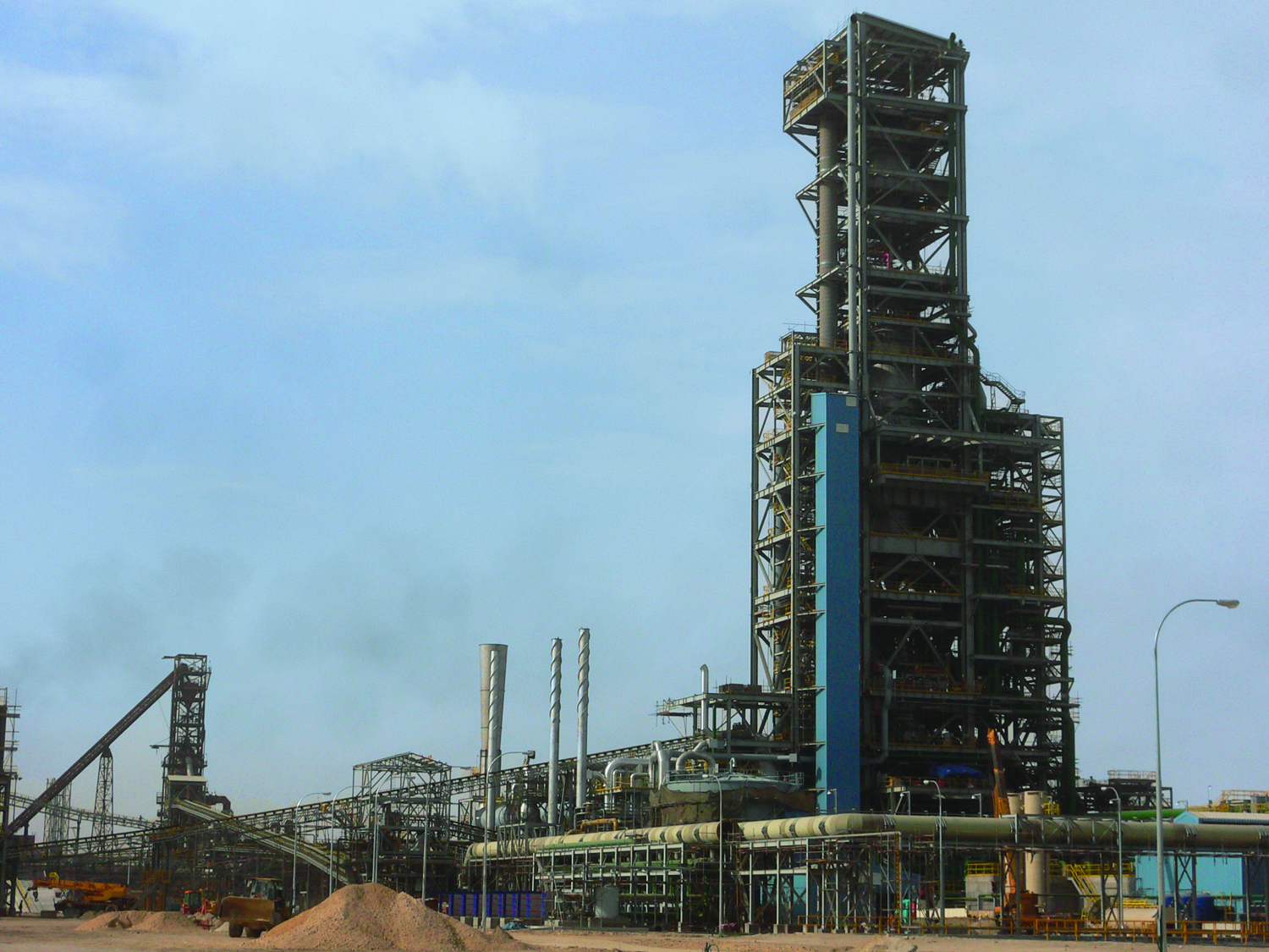 Qatarplant